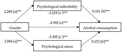 Gender Differences in Transdiagnostic Predictors of Problematic Alcohol Consumption in a Large Sample of College Students in Ecuador